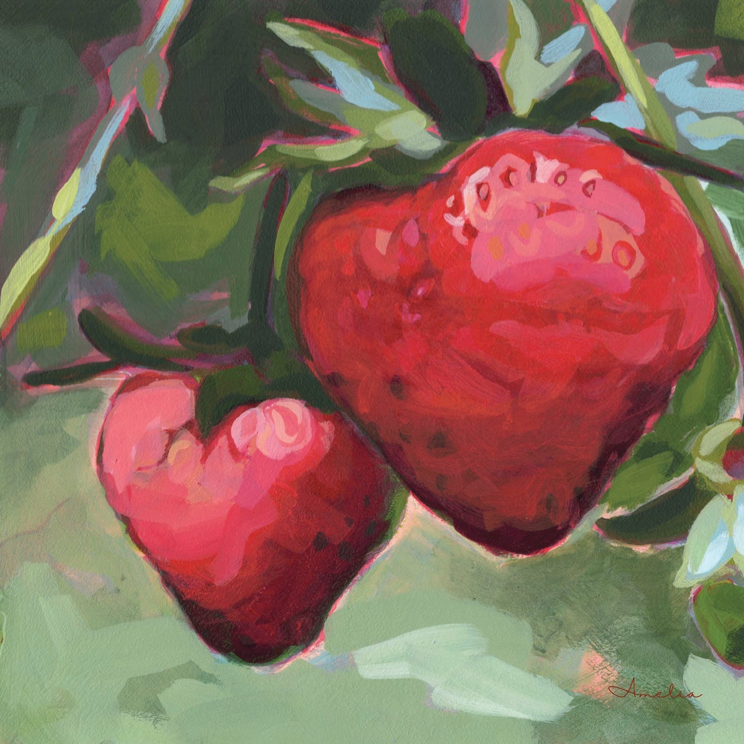 Strawberries