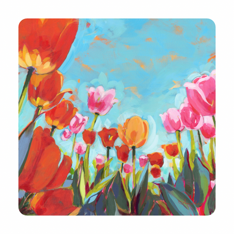 Tulips Meadow