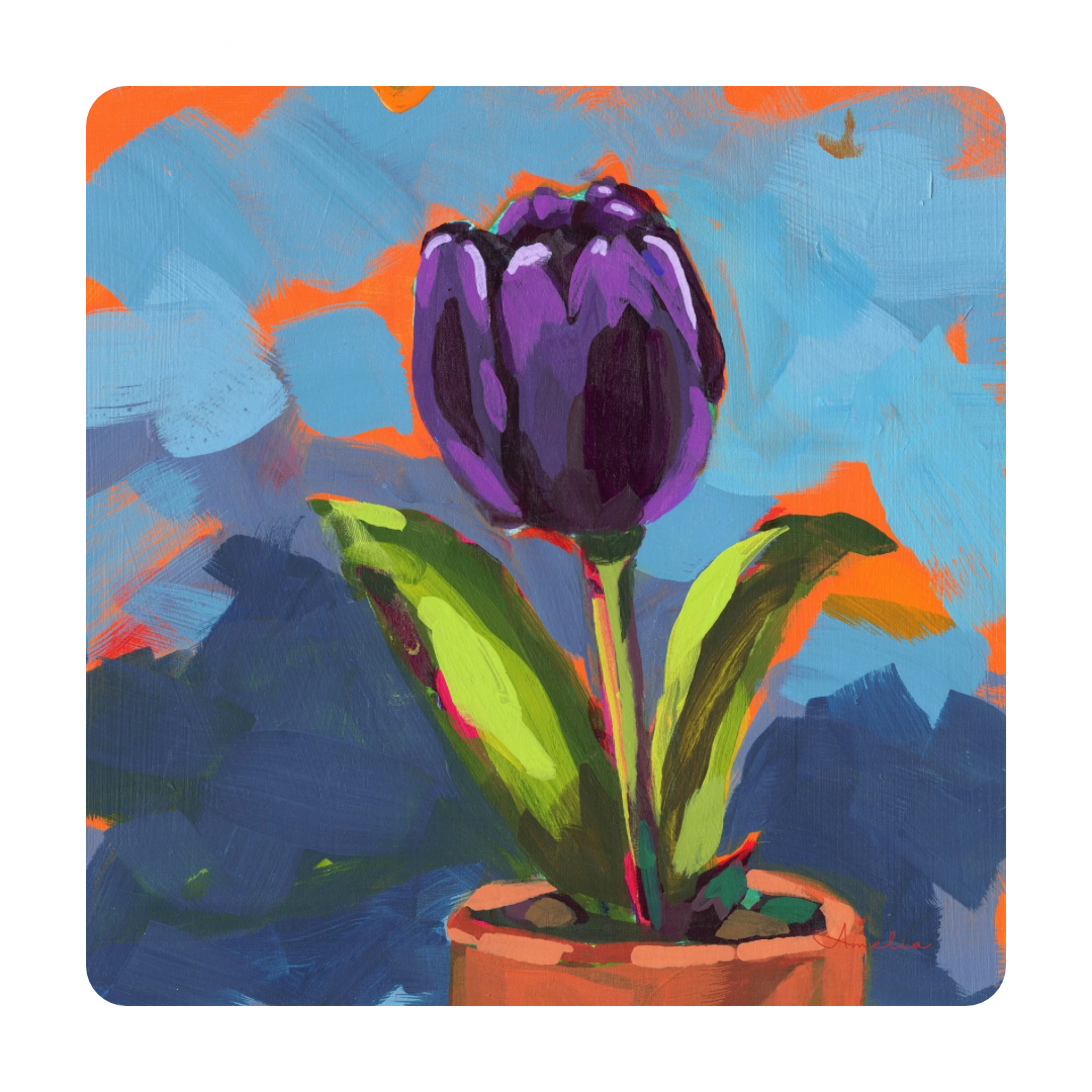 A Tulip