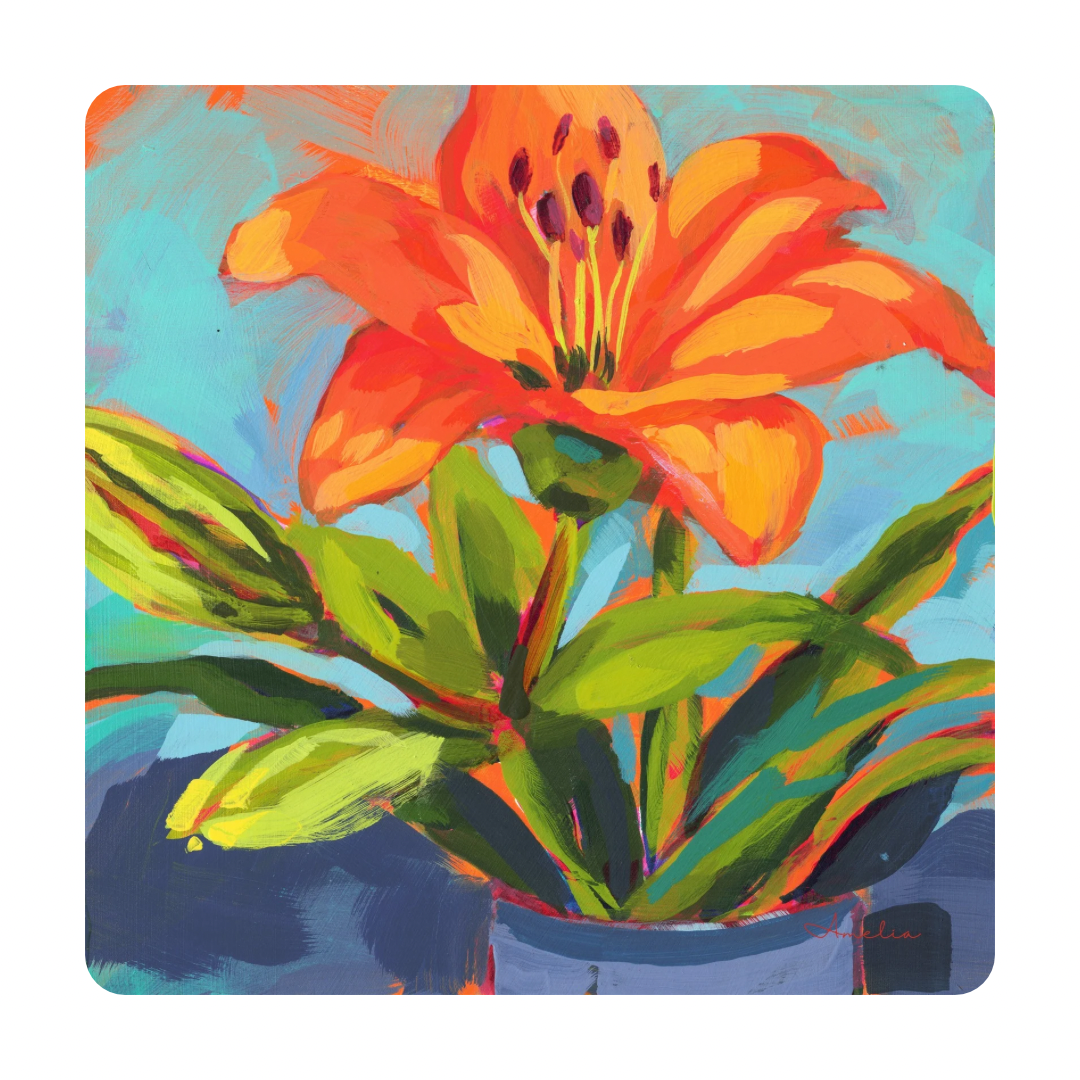 A Lily