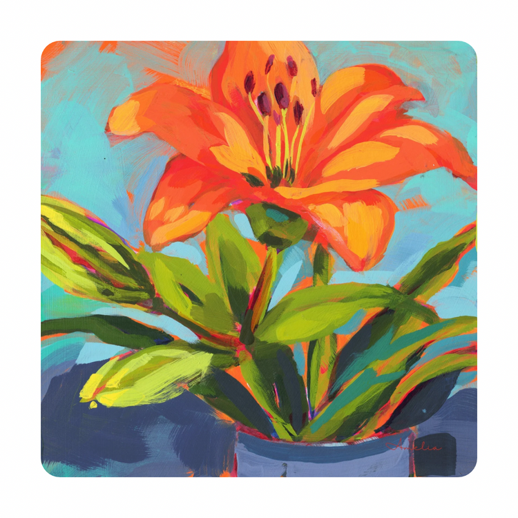 A Lily