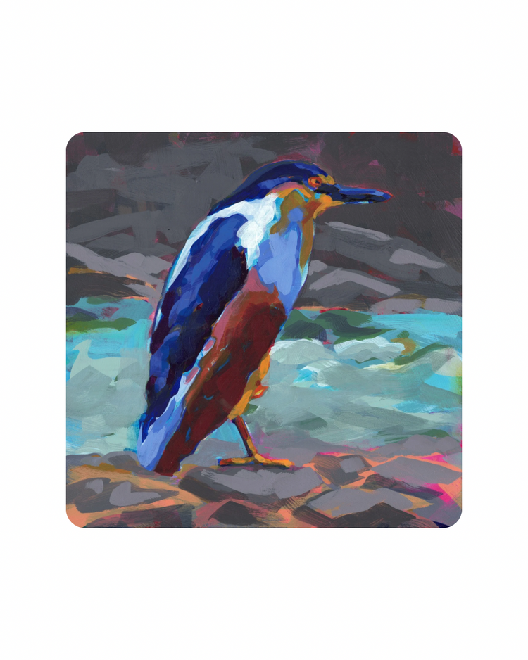 Cap (Black Hooded Heron)