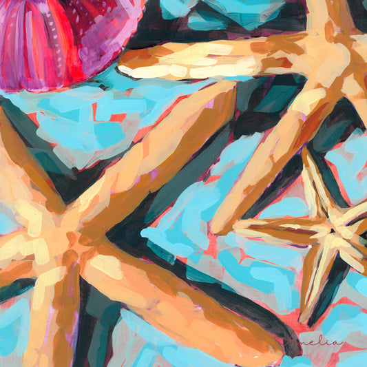 010-STAR OF THE SHOW