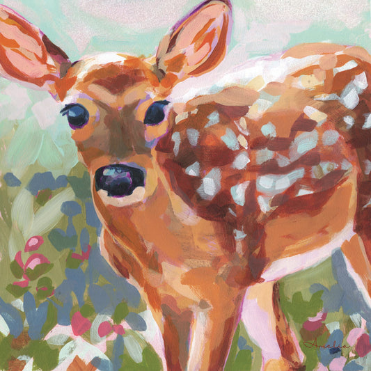 Jane Doe, Tiny Greeting Card Pack
